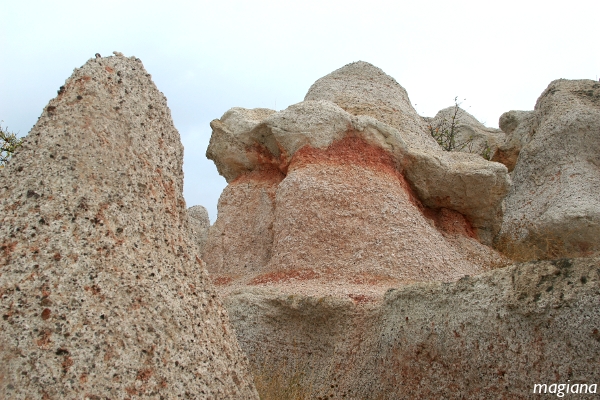 grzybek